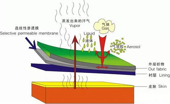 PUR胶在复合面料和电子产品中的应用